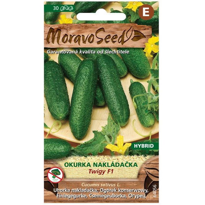 Uborka kovászolni való TWIGY F1 - hibrid (2015mm)