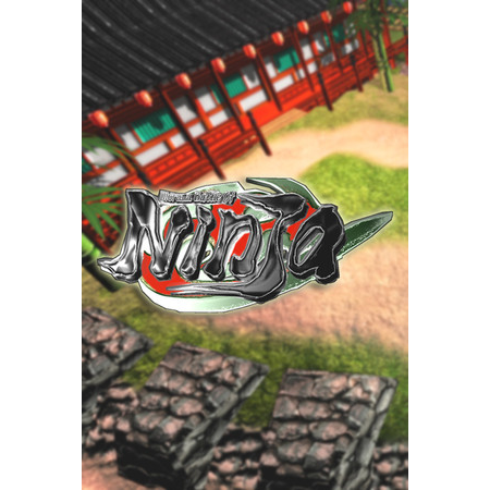 Diorama Battle of Ninja