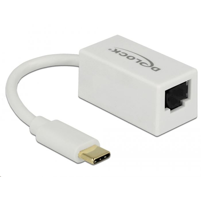 Delock 65906 USB Type-C > Gigabit LAN átalakító, kompakt, fehér (65906)
