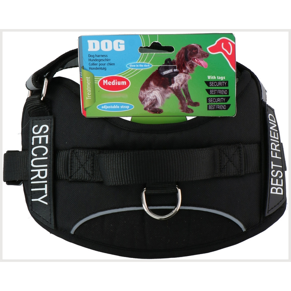 Kutya hám (hát-ra) 50-62 cm, Medium