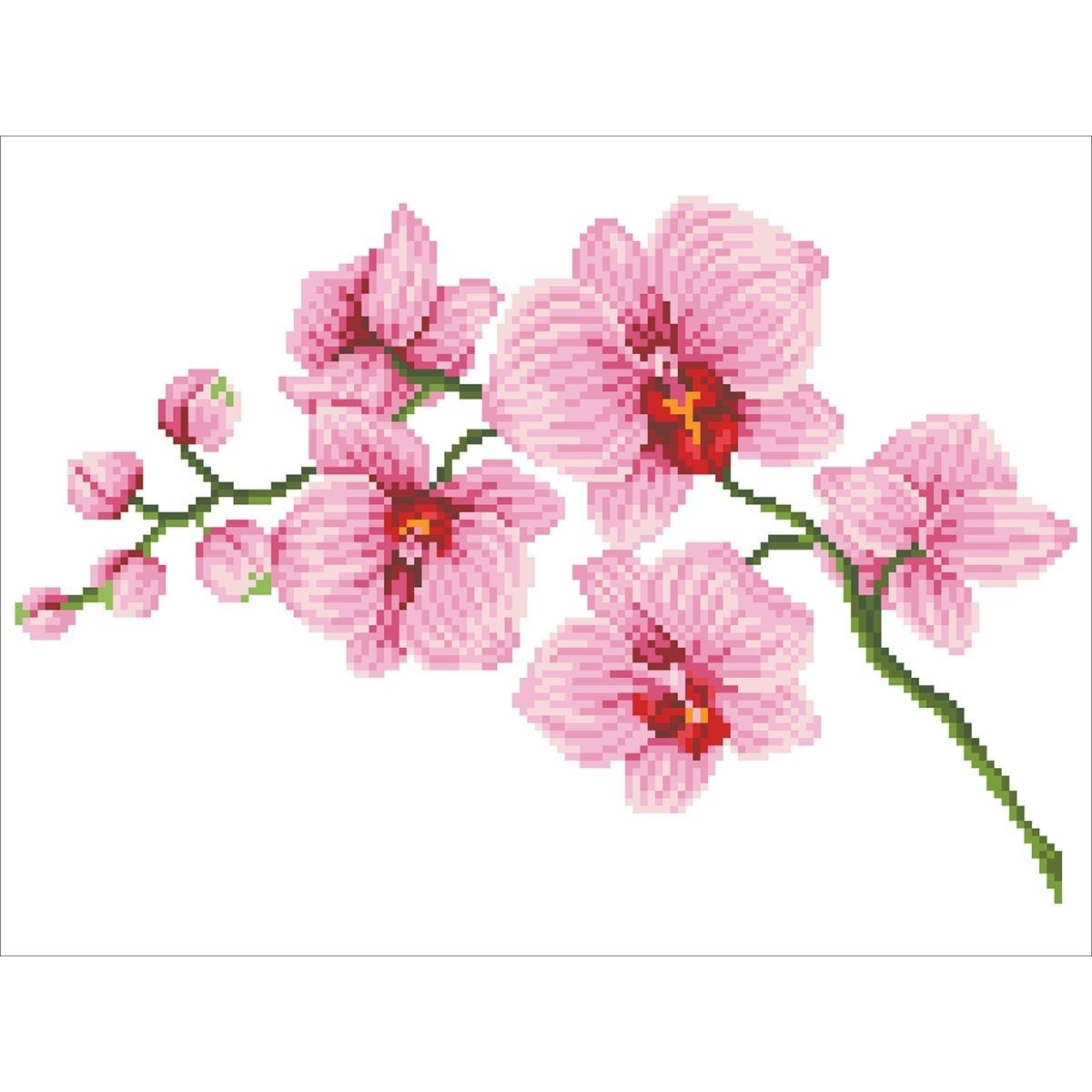 Diamond Dotz : Orchidea - 31 x 41 cm (DD6.034) (018-DD6034)