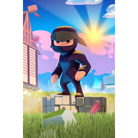 Mad Dojo (PC - Steam elektronikus játék licensz)