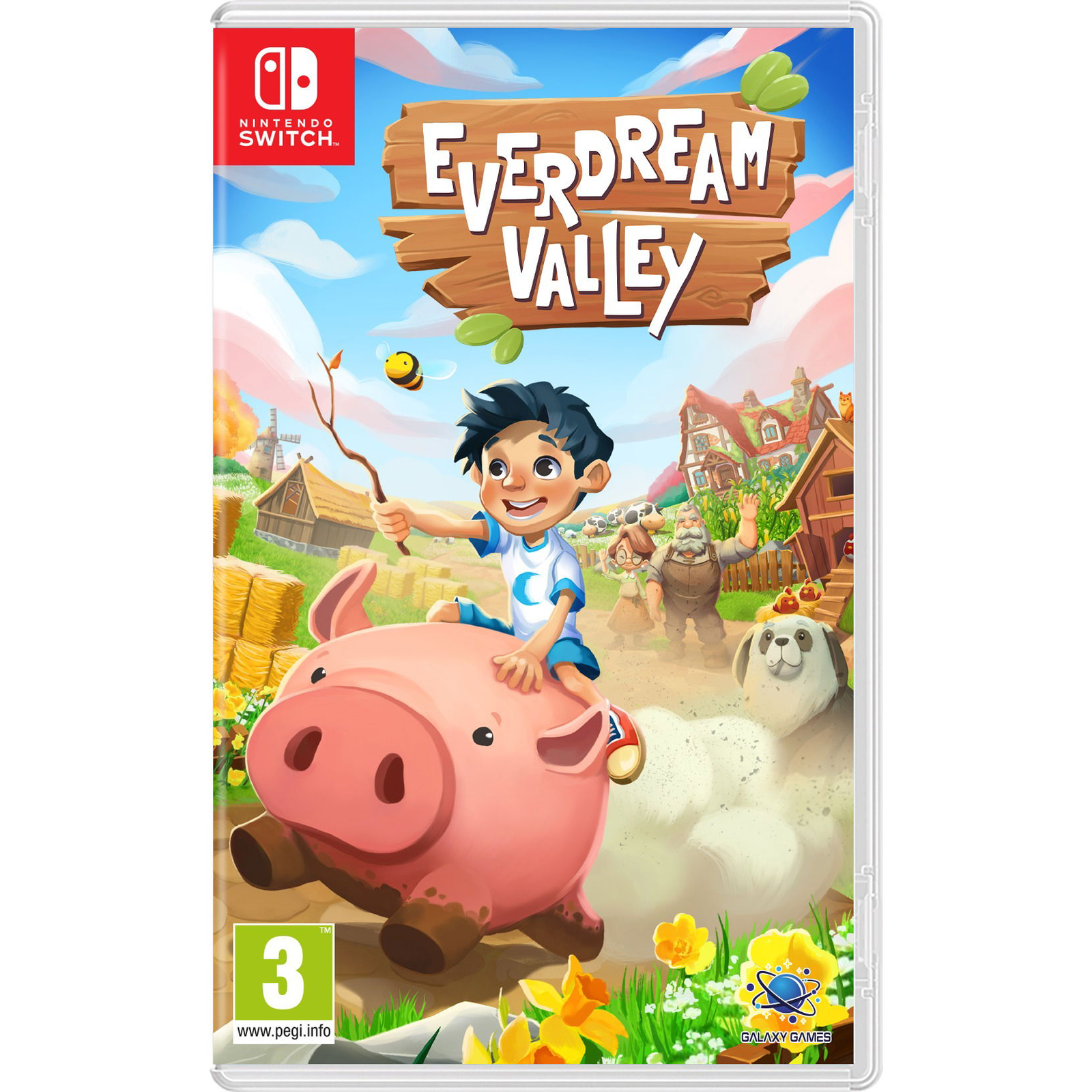 Everdream Valley - Nintentdo Switch (PC - Dobozos játék)