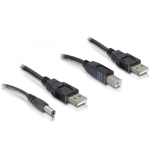 Delock Kabelset 2-fach USB-A zu DC + USB-B 30 cm