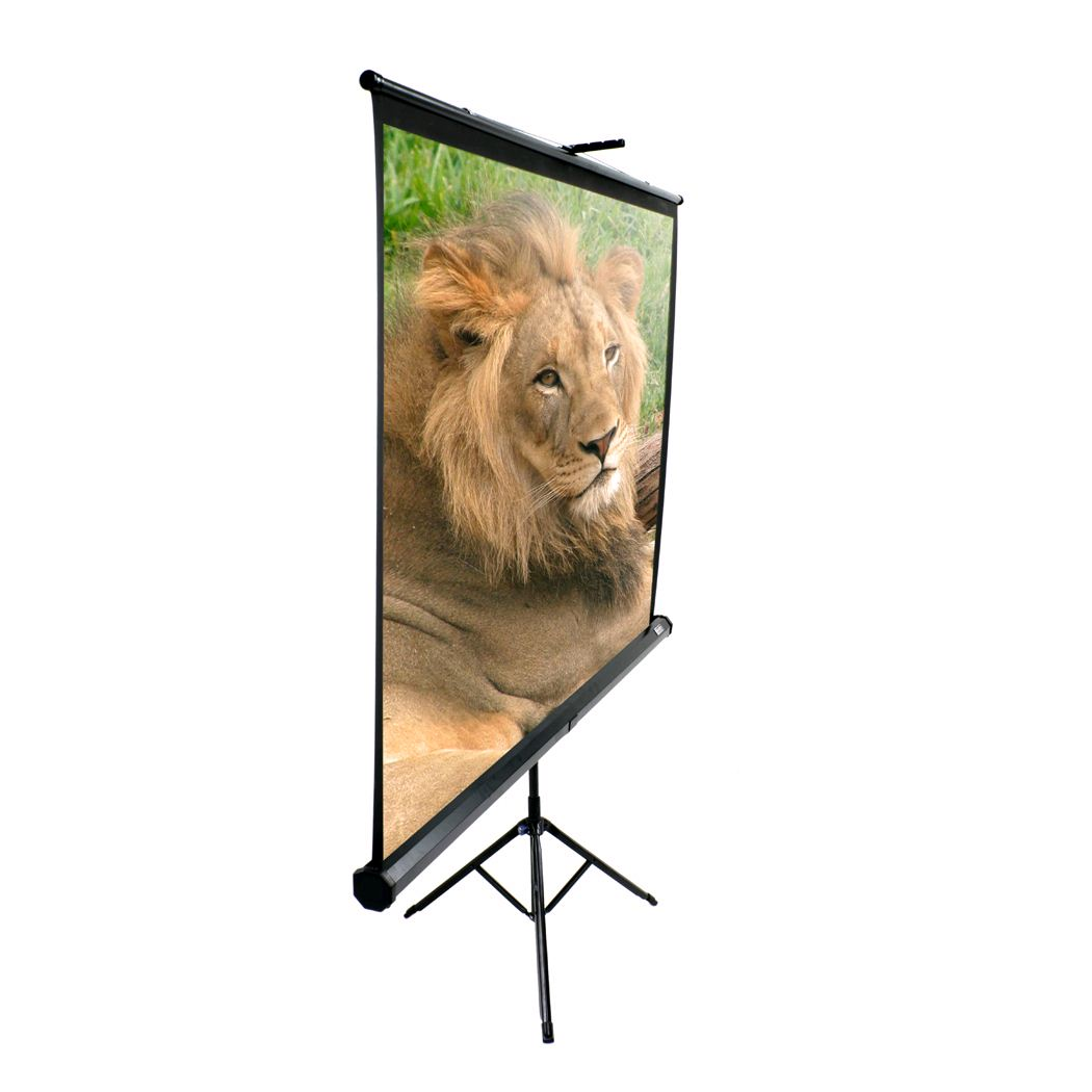Elite Screen 100