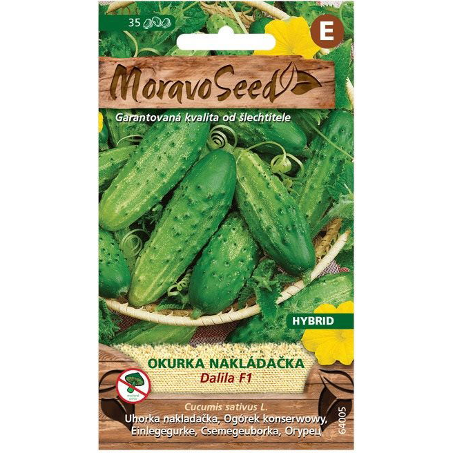 MORAVOSEED Uborka kovászolni való DALILA F1 - hibrid (1981mm)