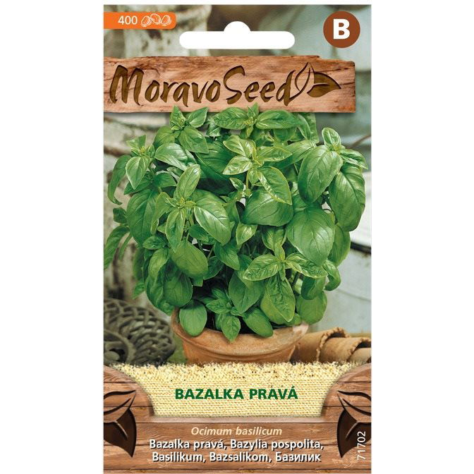 Zöld bazsalikom (0070mm)