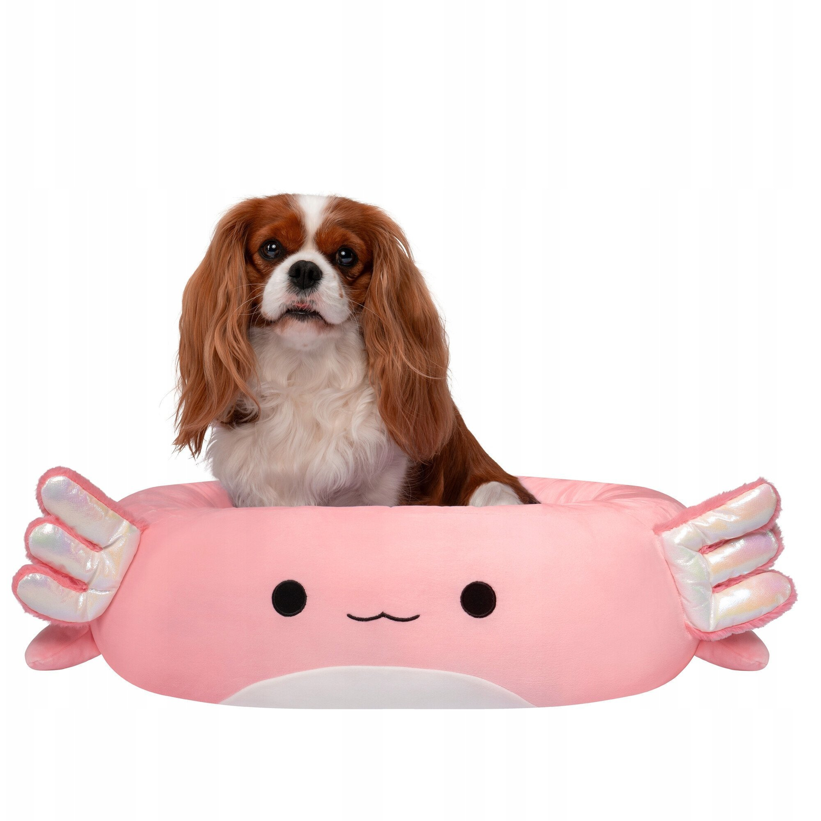 JAS PETS LEGOWISKO M 60CM AXOLOT