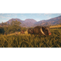 theHunter: Call of the Wild - Rancho del Arroyo