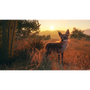 theHunter: Call of the Wild - Rancho del Arroyo
