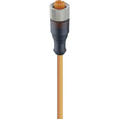 Lumberg Automation 11348-1 Érzékelő-/működtető összekötő, konfekcionált M12 Alj, egyenes 2.00 m Pólusszám: 4 1 db (11348-1)
