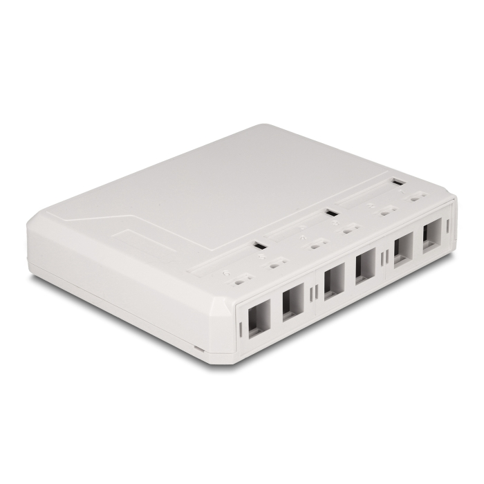 Delock Keystone felületre szerelt doboz 6 porttal fehér (67052) (67052)