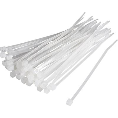 TRU COMPONENTS 1593660 TC-CV300S203 Kábelkötöző 100 mm 2.50 mm Natúr 100 db (1593660)