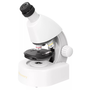 Levenhuk Discovery Micro mikroszkóp és könyv (L-79210)