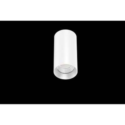 DOTLUX 4356-030036 LED-es mennyezeti lámpa (4356-030036)