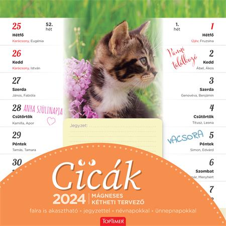 Toptimer 220 x 220mm 2024 Mágneses falinaptár - Cicás (22T9000-001)