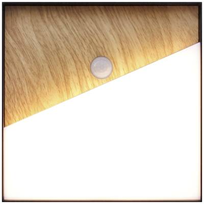 ECO-Light MEG + PIR (9490-Q-PIR WO) LED-es fali lámpa mozgásjelzővel Fixen beépített LED-es 5 W LED Fa (9490-Q-PIR WO)