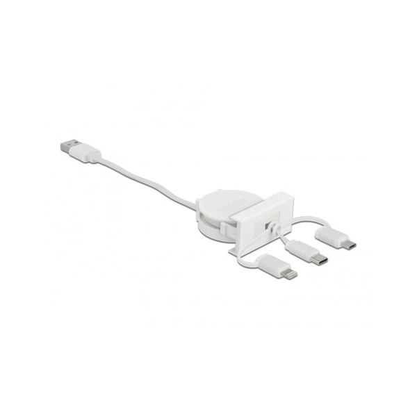 DELOCK Easy 45 Modul USB 2.0 3 in 1 Aufrollkabel USB-A zu C
