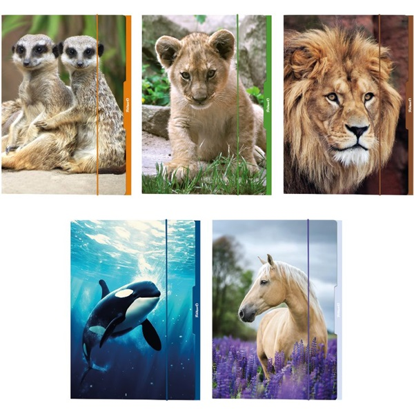 Herlitz Állatok A3 karton gumis mappa (00276887)