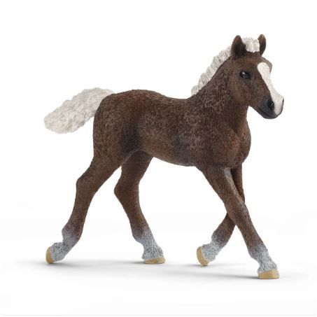 Schleich Fekete-erdei csikó figura (13899) (sch13899)