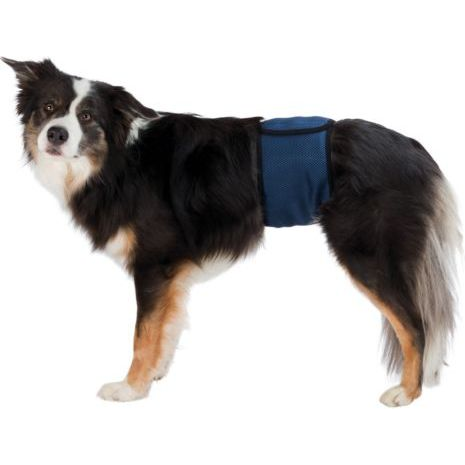 Trixie Pelenka fiú kutyáknak S 29-37cm kék (VAT008775)