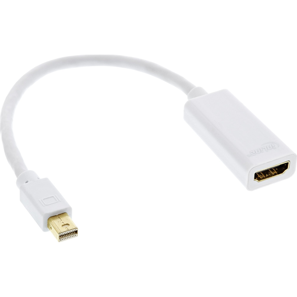 InLine 17193E cavo e adattatore video Mini DisplayPort