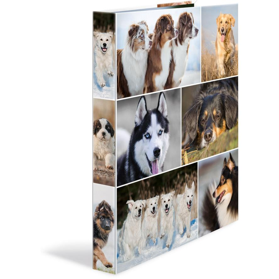 HERMA Ringbuch A4 Hunde 4D (19358) (19358)