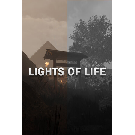 Lights Of Life