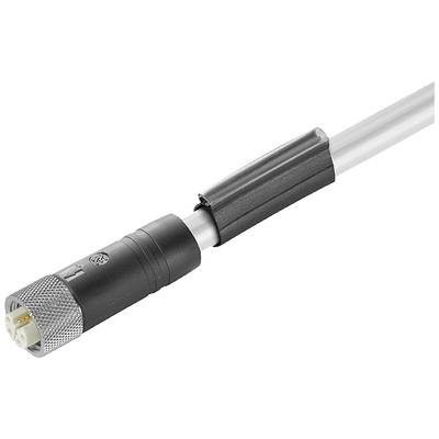 Weidmüller 2455330500 Érzékelő-/működtető összekötő, konfekcionált M12 Alj 5.00 m Pólusszám: 5 1 db (2455330500)