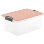 Rotho storage box Compact A4 13 l