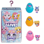 Hatchimals EGG COL Featur Single Pack F23 BP GML