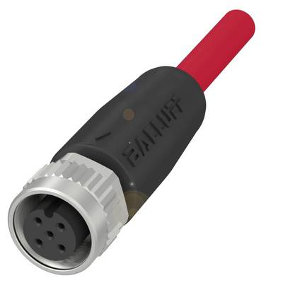 BALLUFF BCC06Y1 Érzékelő-/működtető csatlakozóvezeték 1 db (BCC06Y1)