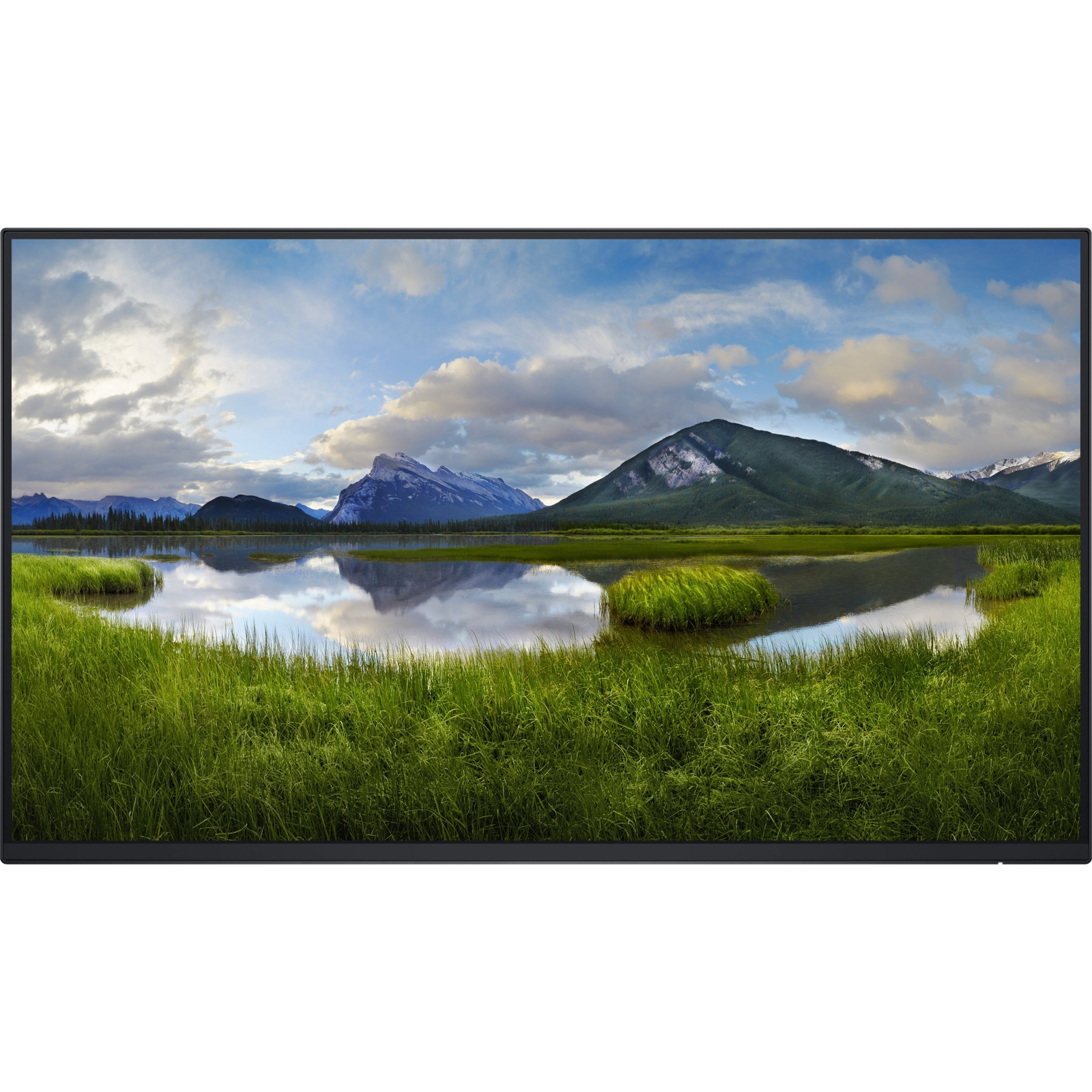 Dell P2425H Pro Monitor 23.8