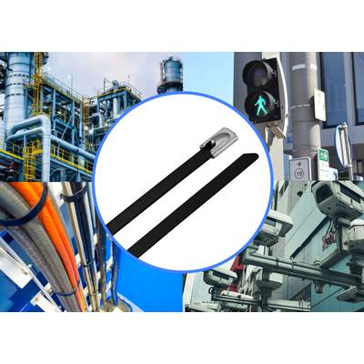 TRU COMPONENTS TC-12656652 Acél kábelkötegelők 290 mm 4.6 mm AISI 304 Bevonattal 10 db (TC-12656652)