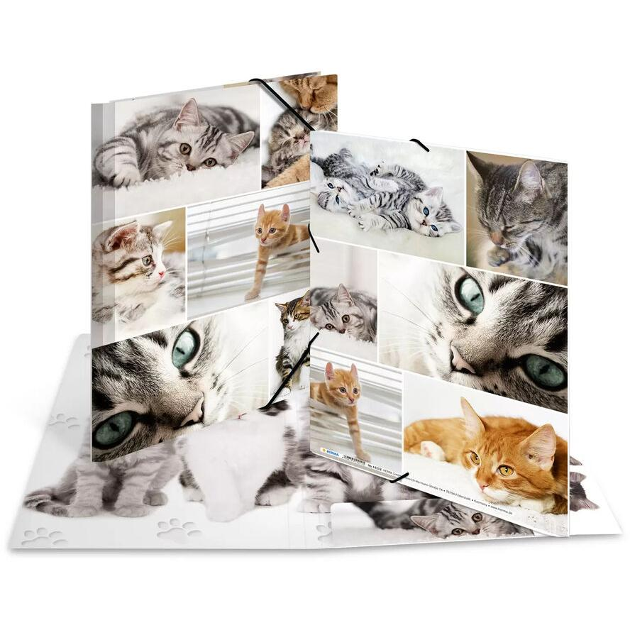 HERMA Sammelmappe A4 Katzen Pappe (19212) (19212)