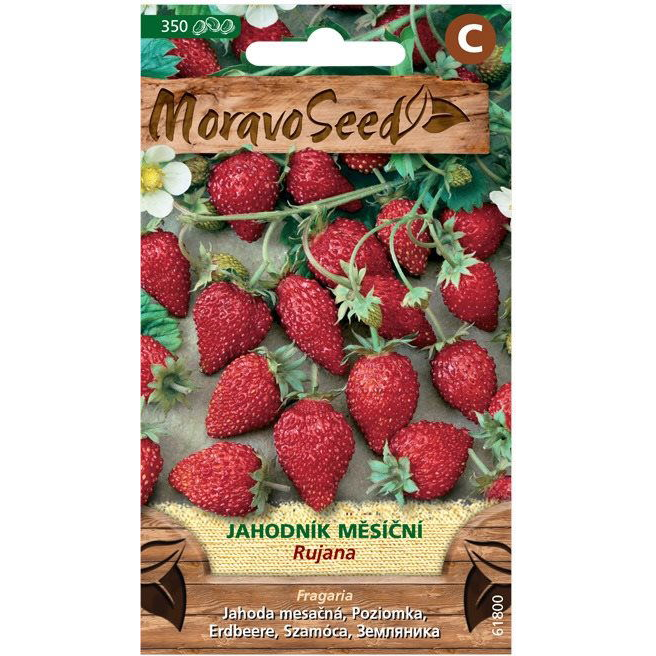 Hónapos eper (1000mm)