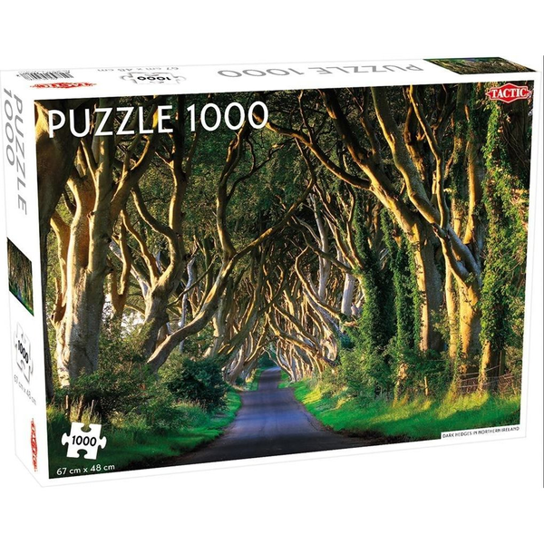 Tactic Dark Hedges in Northern Ireland 1000 pcs Legpuzzel 1000 stuk(s) Liggend