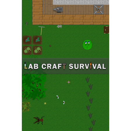 Lab Craft Survival (PC - Steam elektronikus játék licensz)