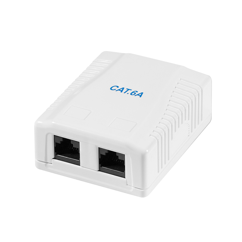 Logilink Cat.6A Felületre szerelhető doboz 2 x RJ45, árnyékolatlan (NP0101) (NP0101)