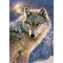 Castorland Lone wolf 500 pcs Пъзел 500 броя Фауна