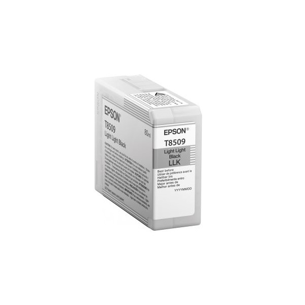Cartuș de cerneală Epson T850900 80 ml negru deschis-deschis