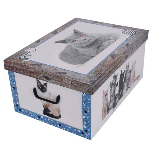 Miss Space Tárolódoboz  MAXI 51x37x24 cm Cica kék (7037)