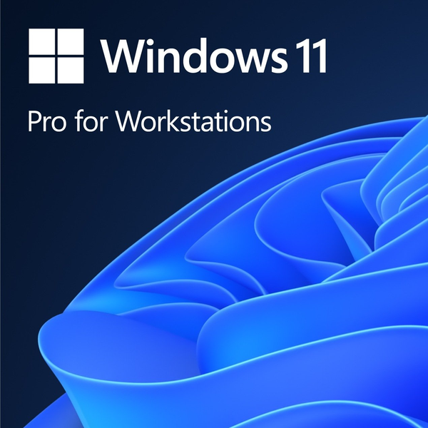 Win Pro for Wrkstns 11 PL x64