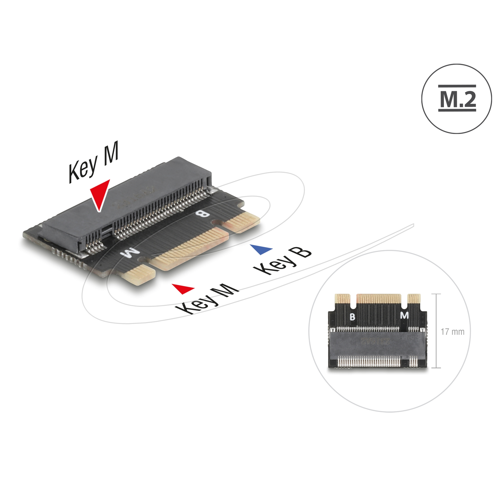 Delock M.2 kulcs B+M apa - M.2 kulcs M csatlakozó bővítmény adapter (64342) (64342)