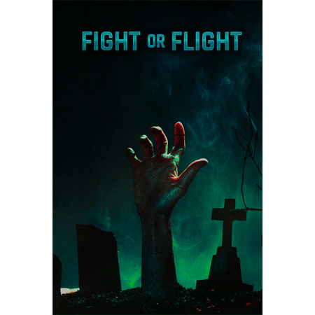 Fight or Flight (PC - Steam elektronikus játék licensz)