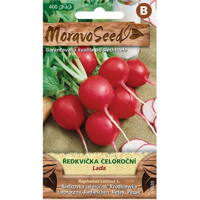 Piros retek LADA, évelő (3094mm)