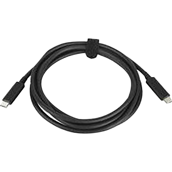 HP USB-C 100W (Z Display dock/charge)