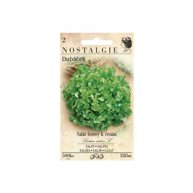 MORAVOSEED Tölgylevelű saláta DUBÁČEK (3583oo)