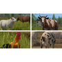 Farming Simulator 2017