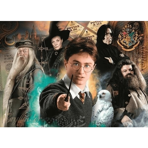 Clementoni Wizarding world Harry Potter Puslespil 500 stk Fjernsyn/film
